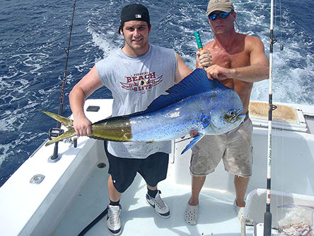 65 lb Mahi-Mahi